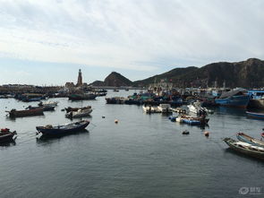 大連一日游 盡享游艇風情之旅