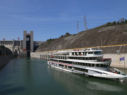 美國維多利亞系列宜昌神農架三峽重慶單飛7日游 探秘原始生態，盡享三峽風光