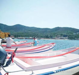 2017大連旅順釣魚節(jié)今日盛大啟幕，央視明星助陣引領(lǐng)大連游艇熱潮